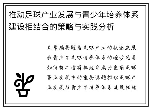推动足球产业发展与青少年培养体系建设相结合的策略与实践分析