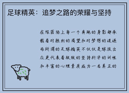 足球精英：追梦之路的荣耀与坚持