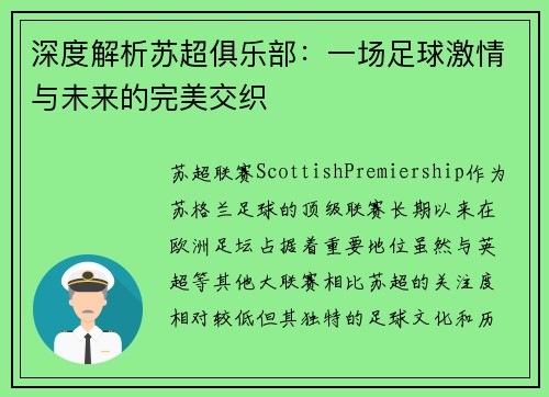 深度解析苏超俱乐部：一场足球激情与未来的完美交织